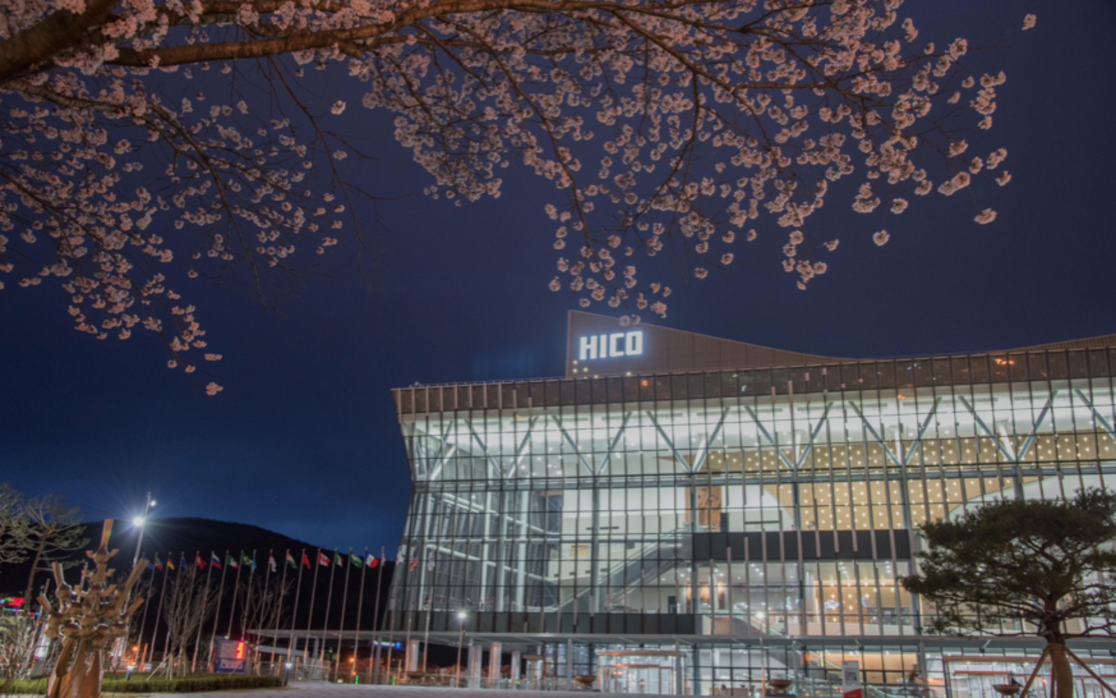 Korea opportunities: South Korea in focus