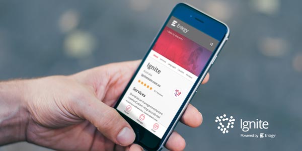 Brisbane-based Entegy ignites software network