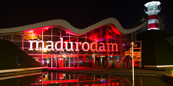 The Hague lights up for World TB Day