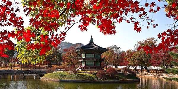 Korea views PyeongChang Olympics as a springboard for attracting conferences