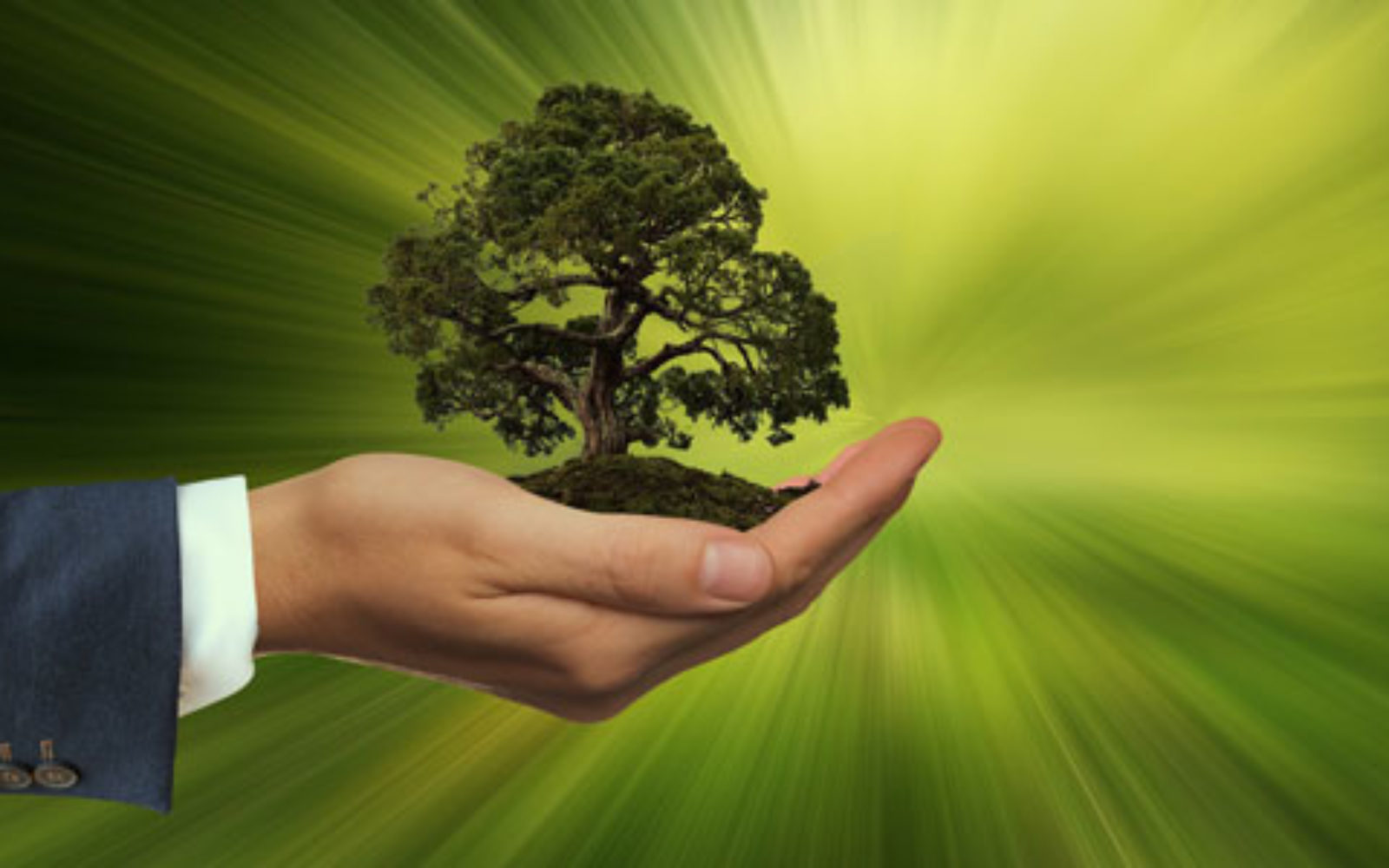 BCD Meetings & Events releases ‘The Green White Paper’ sustainability report