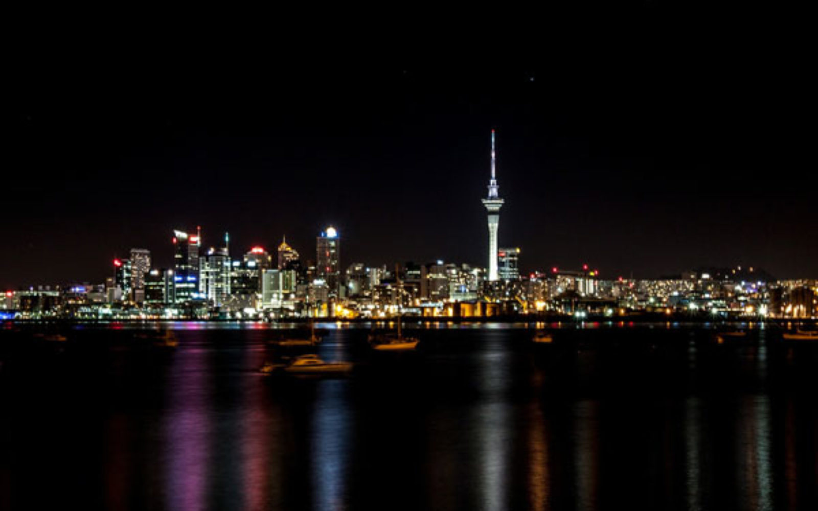 New board members and Outstanding Contributor Award in New Zealand