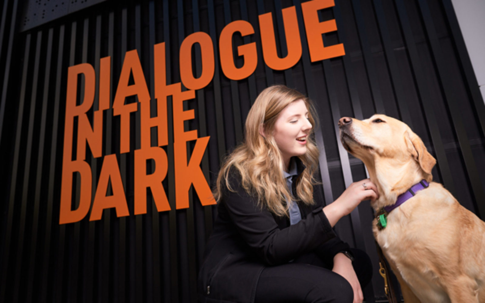 AIME to work with Guide Dogs Victoria on sensory show experience