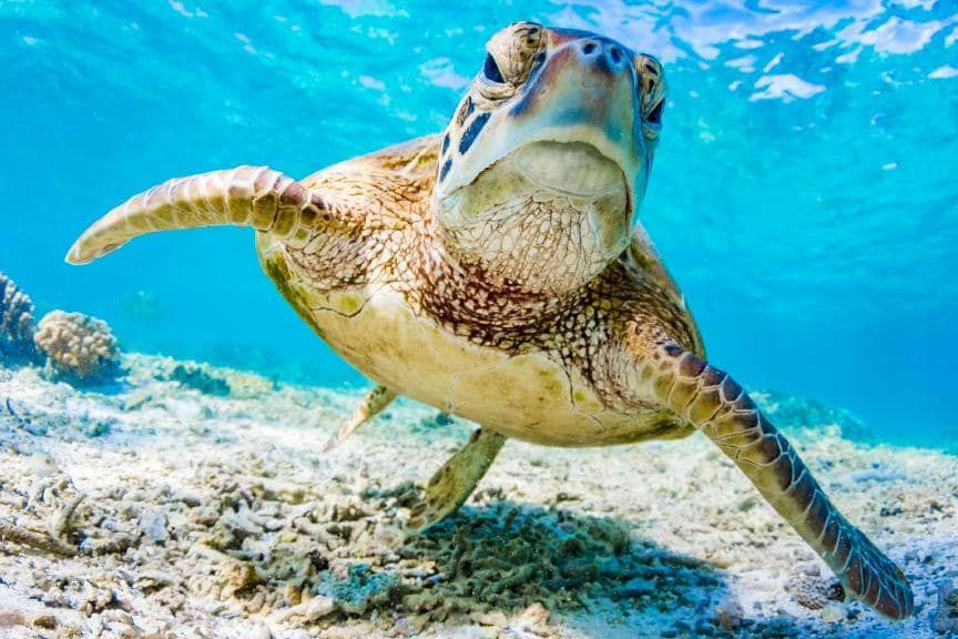 World-leading scientists head to Cairns