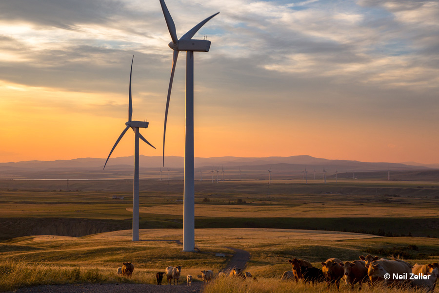 Strong winds in Calgary’s meetings sails