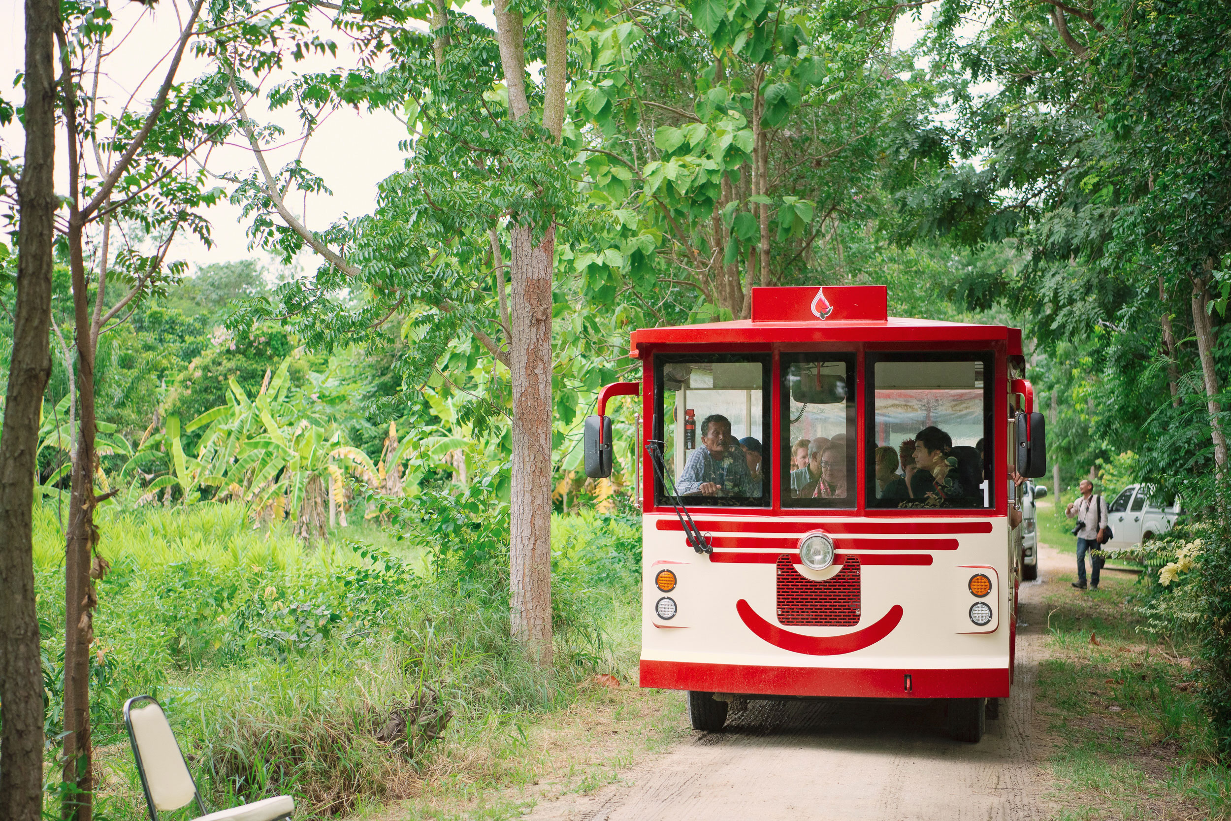 Thailand: in the fast lane