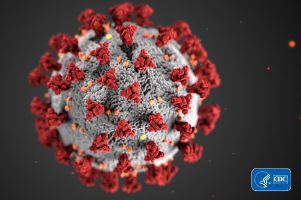 Centers for Disease Control releases coronavirus guidance for events