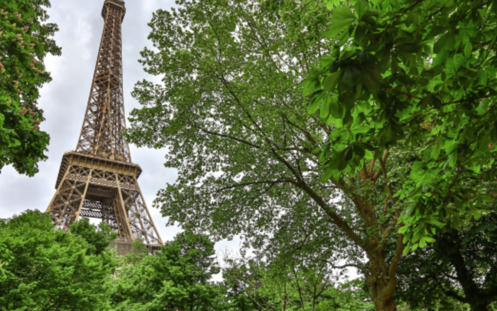 Paris tourism barometer suggests European air traffic could drop 48% in 2020