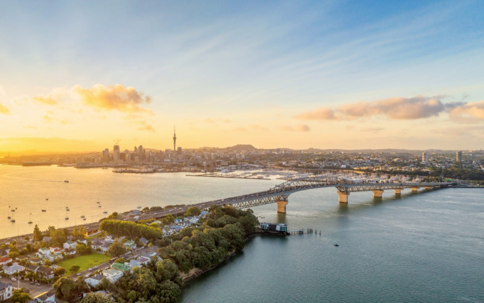 Auckland blueprint for recovery, as NZ opens for business