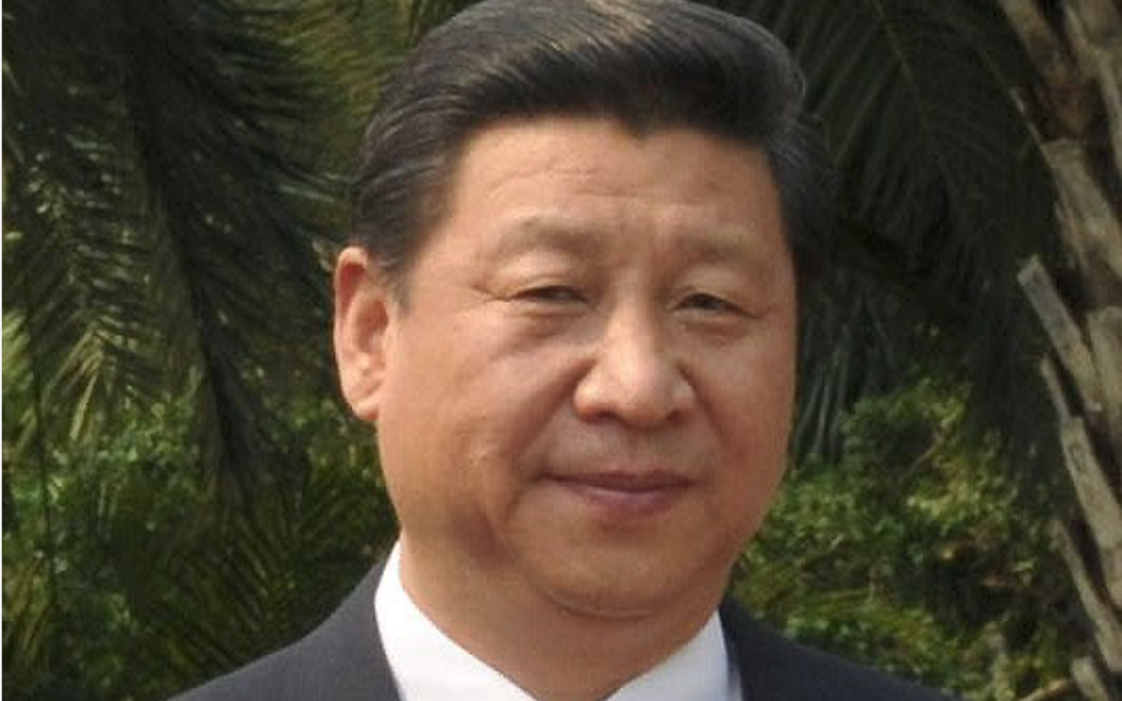Chinese president pledges to open up ‘super-sized’ economy and slams 'protectionism'