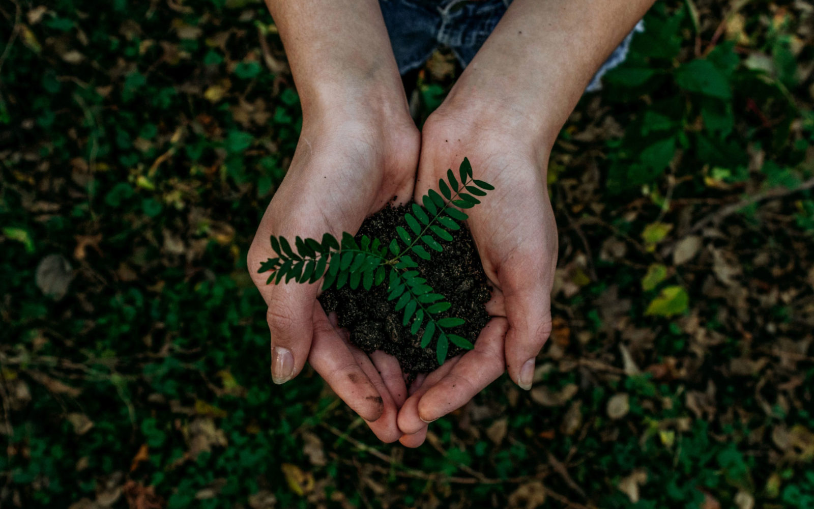 Positive Impact fundraising for event climate framework ahead of Earth Day