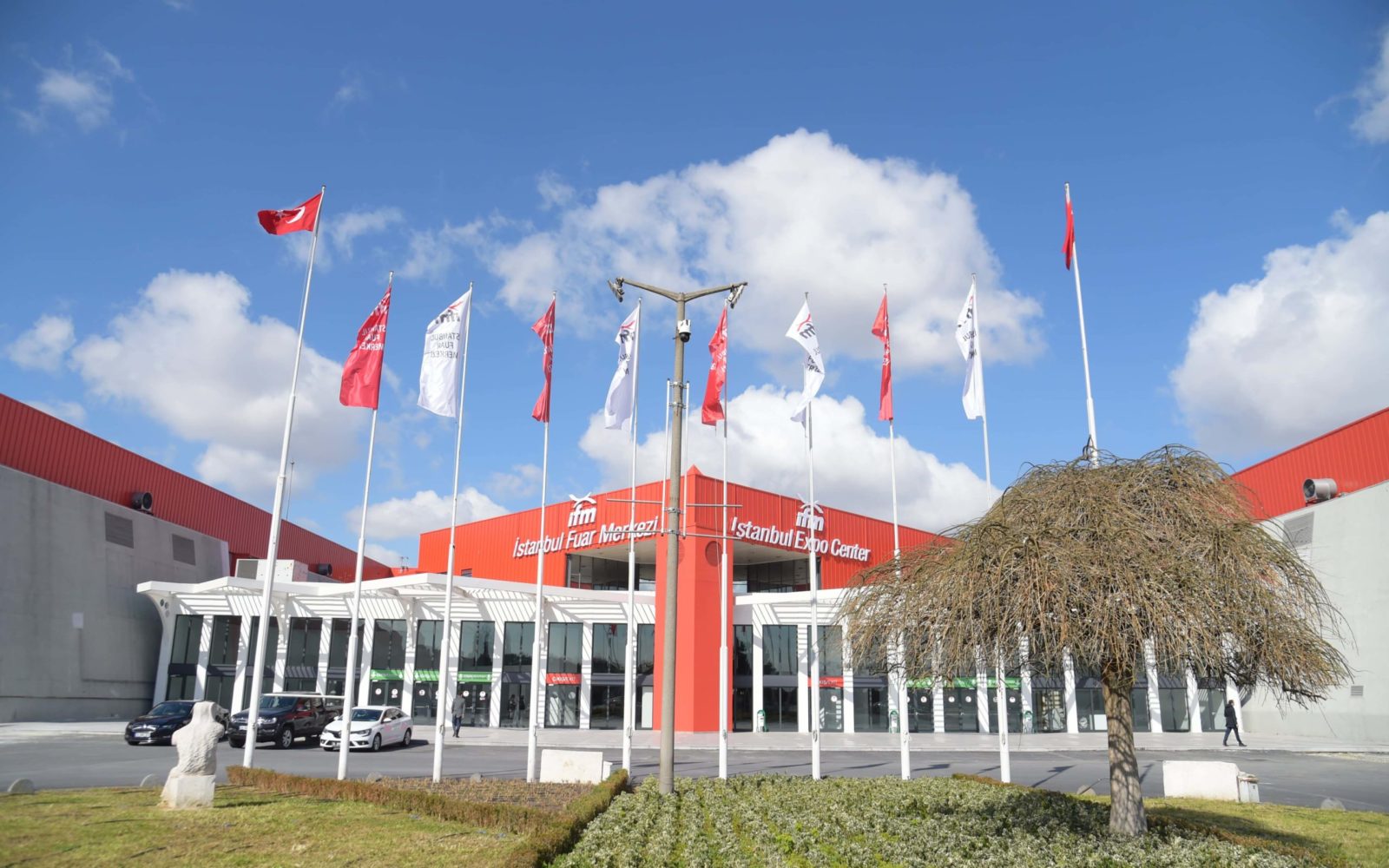 WTCA at 50+: a global beacon shining strong