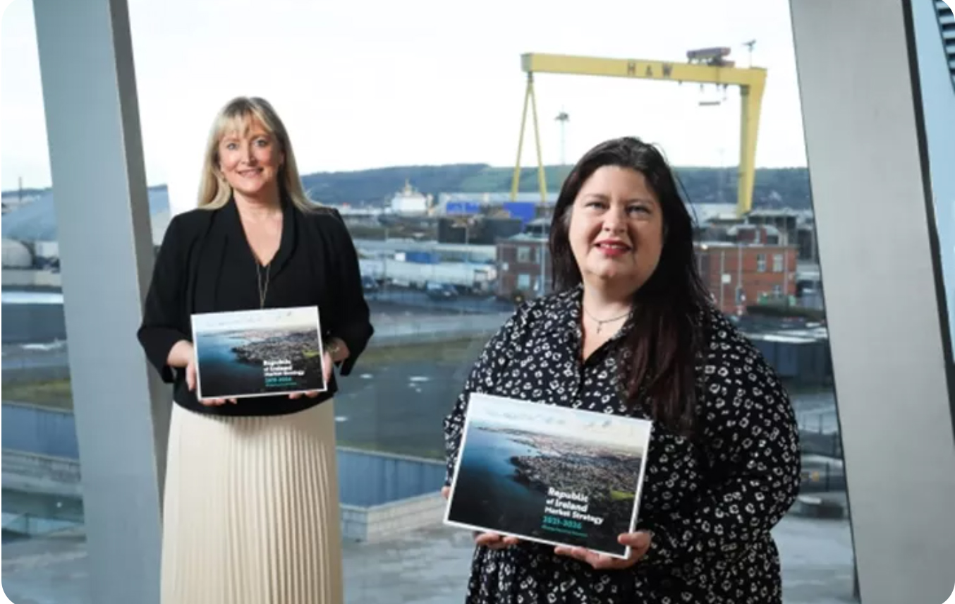 New Tourism NI strategy targets lucrative Republic of Ireland visitor market