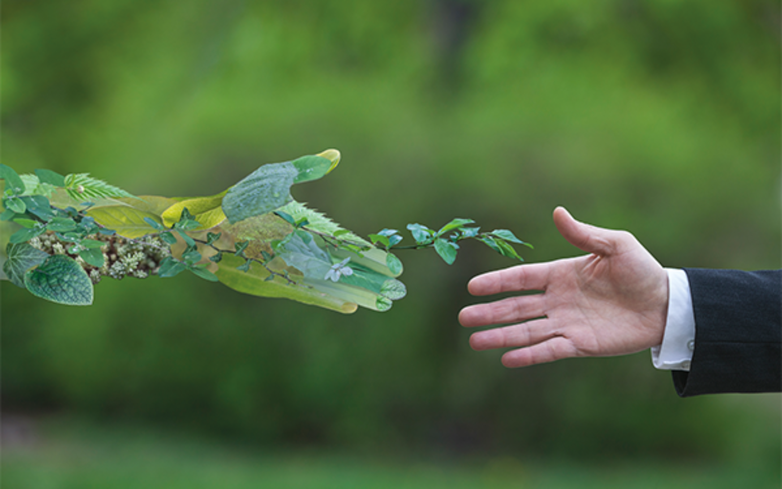 Events industry reflects on sustainability progress on Earth Day