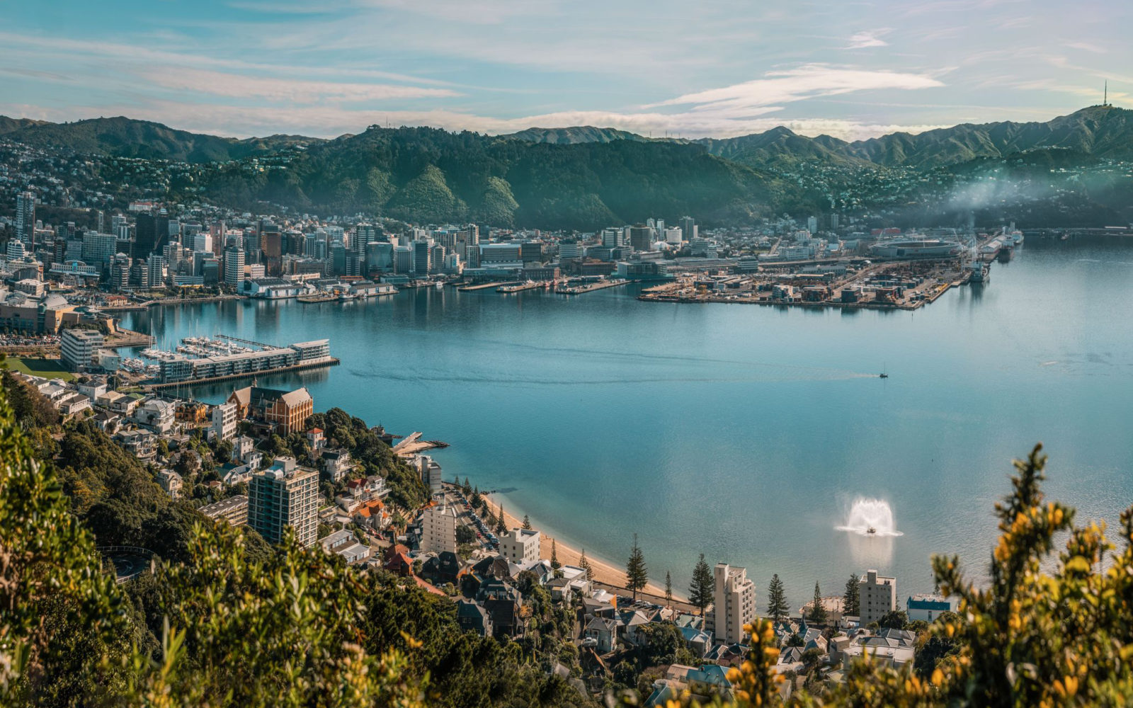 What’s new in Wellington