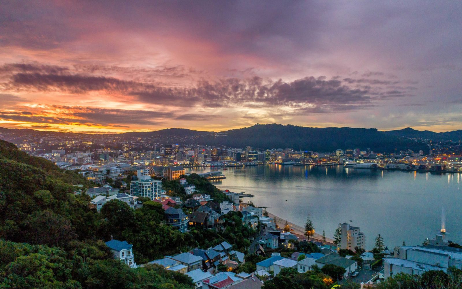 Wellington boasts positive pipeline of international conferences as NZ reopens