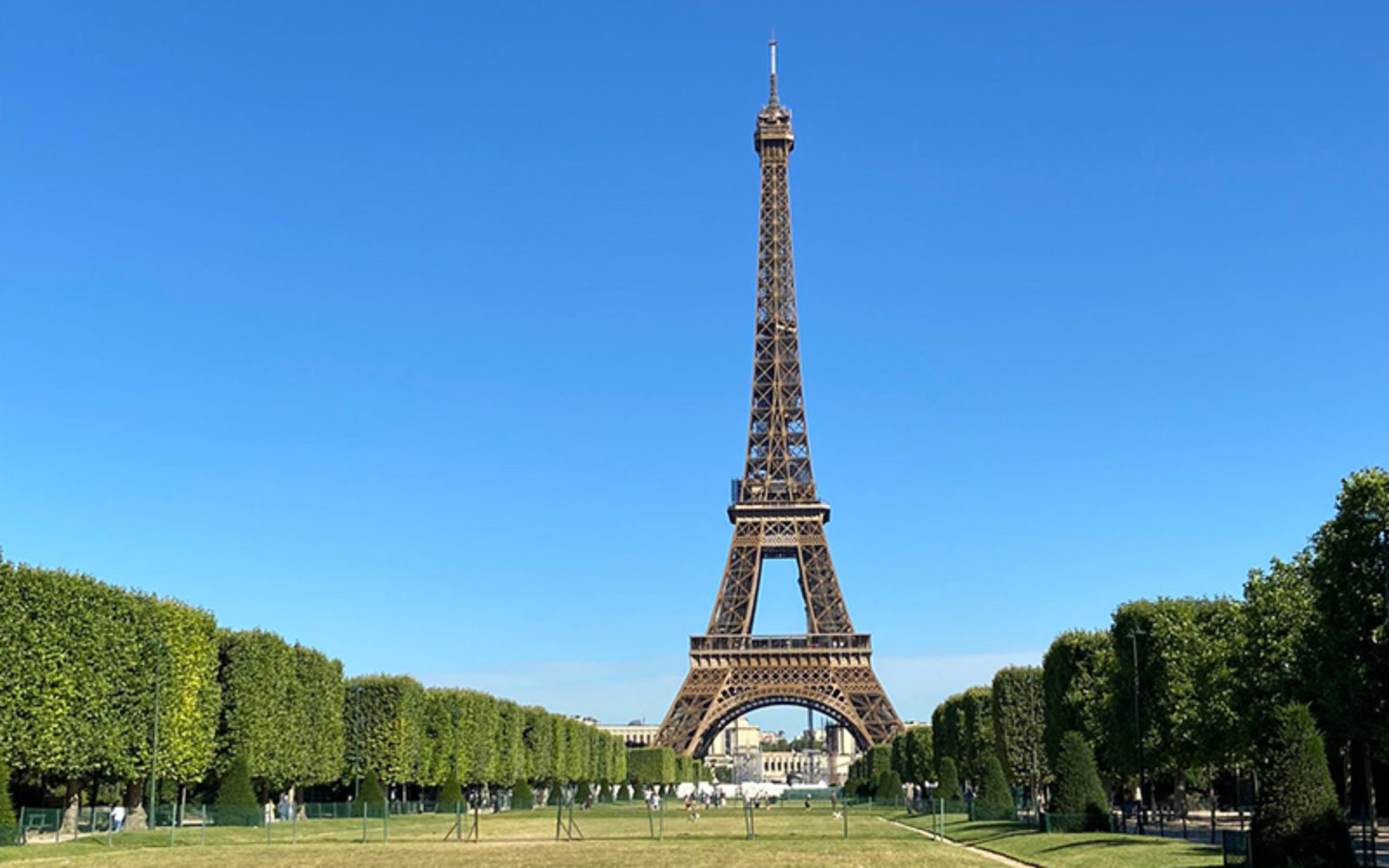 In pictures - What's Up Day Paris