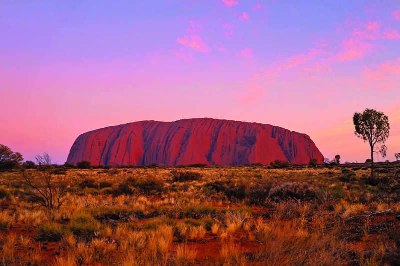 Back to business events down under