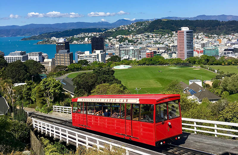 Wellington launches advocate network