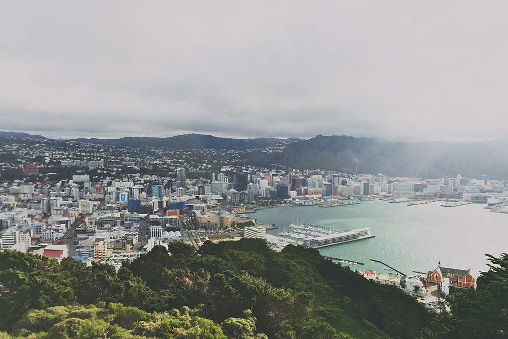 Wellington launches new biotech Life Sciences Summit