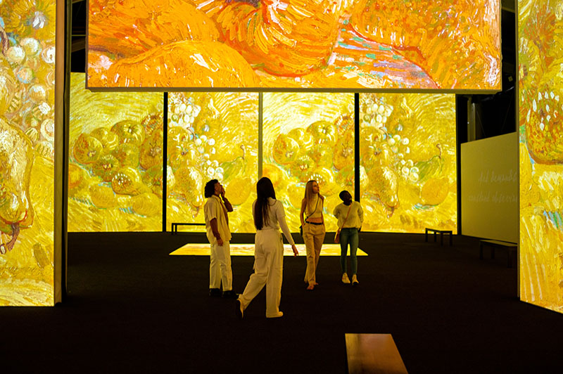 Australia shares event line-up following promising research results