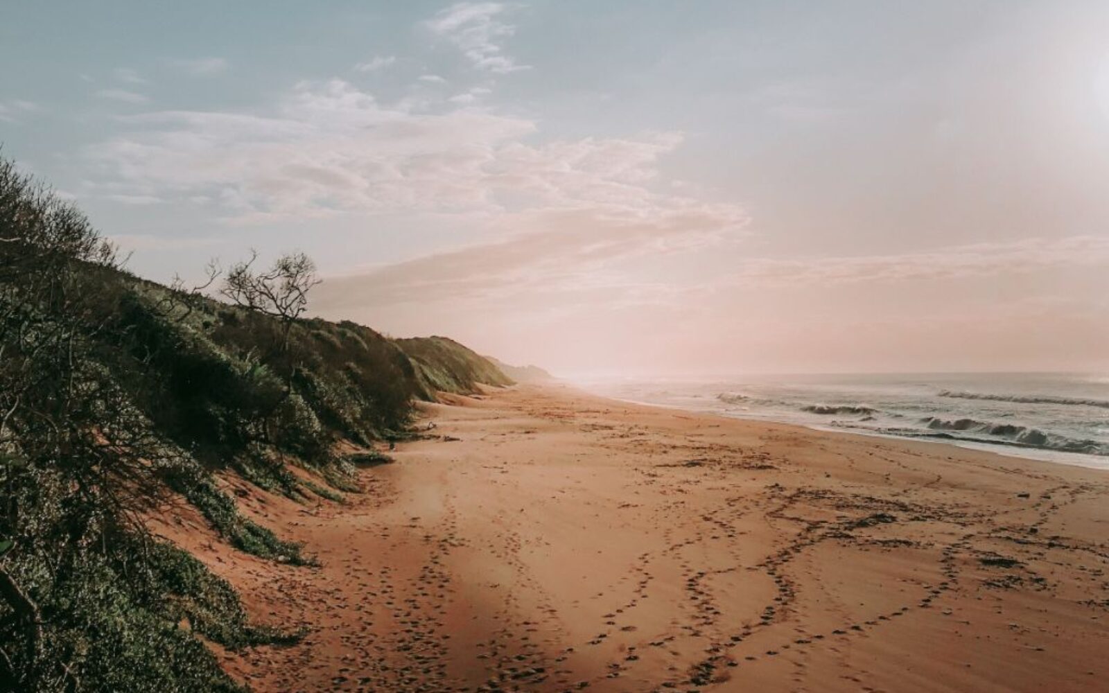 The Western Indian Ocean Marine Science Association (WIOMSA) Scientific Symposium - Case Study