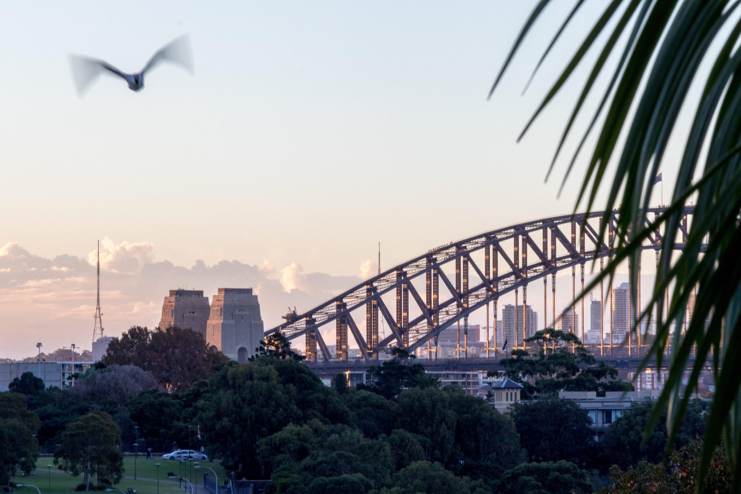 BESydney kicks off 2023 with bid wins, as Health & Life Sciences hold strong