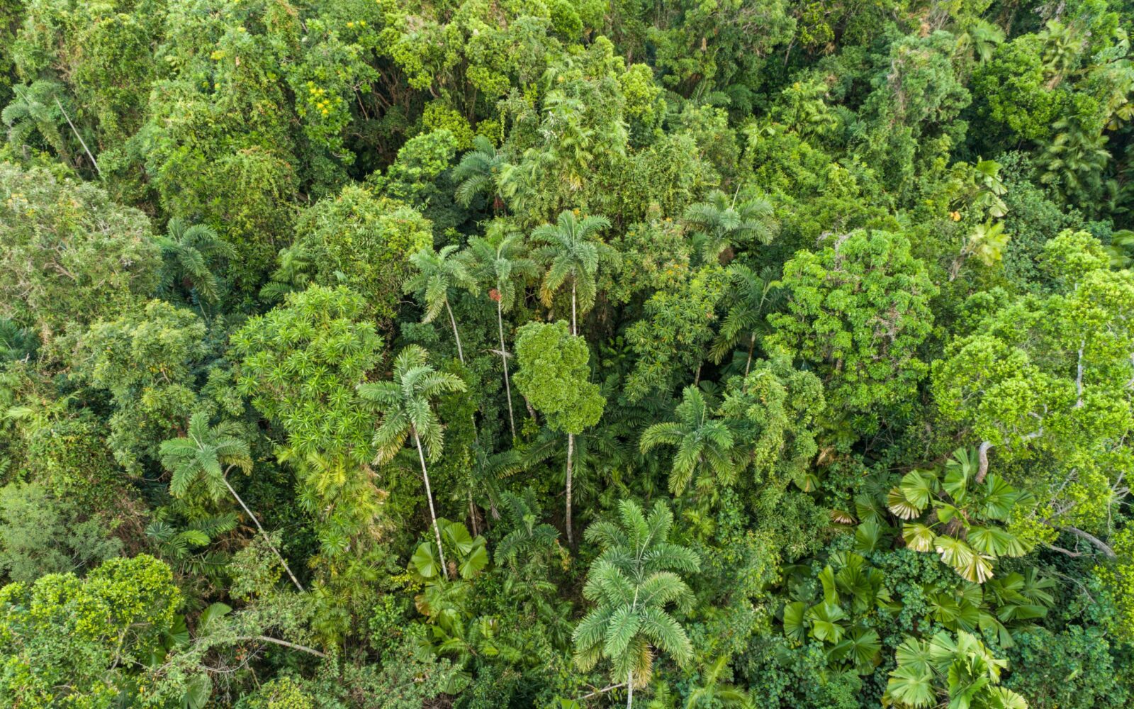 Sustainable events in Cairns & Great Barrier Reef