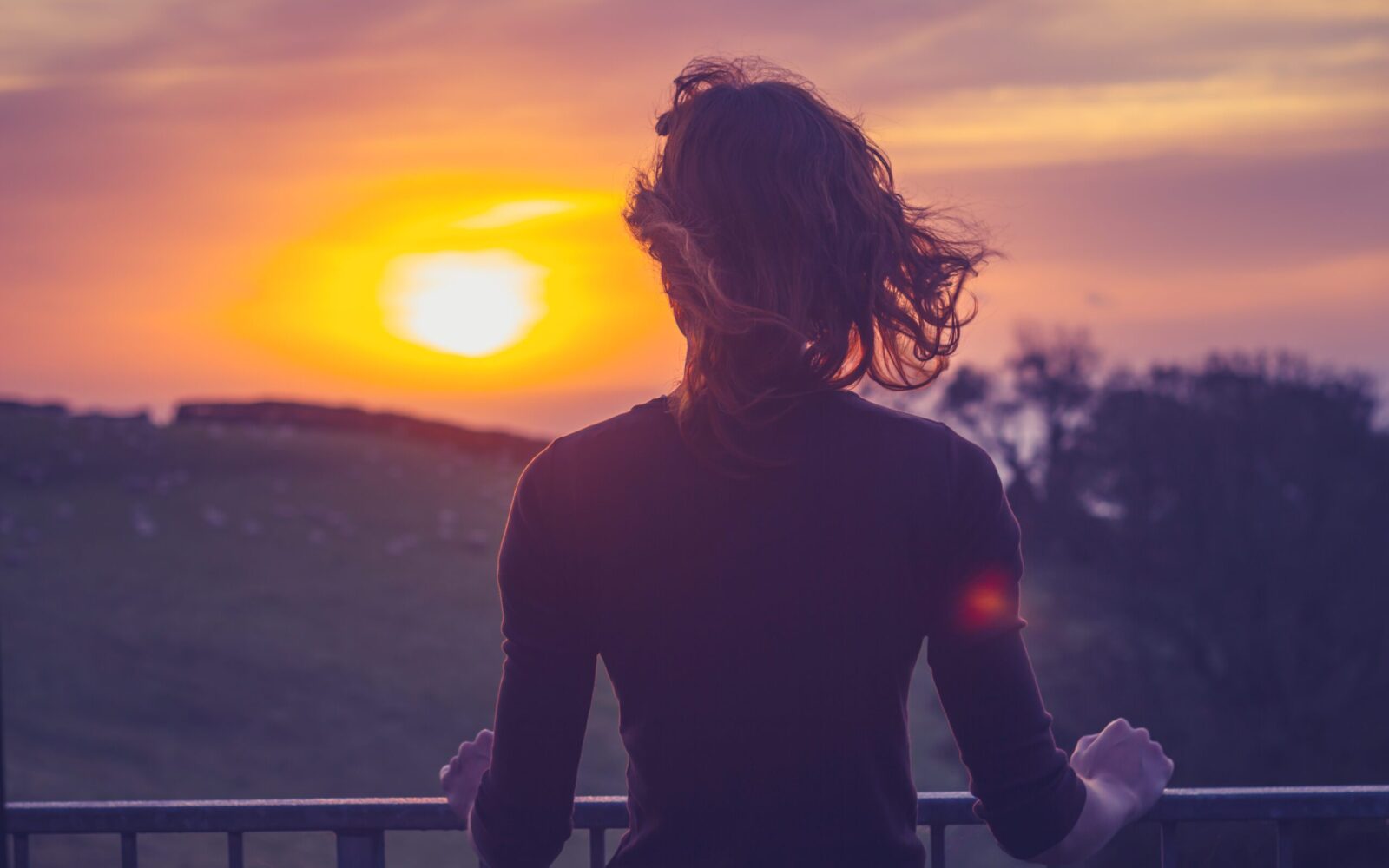 In search of higher purpose