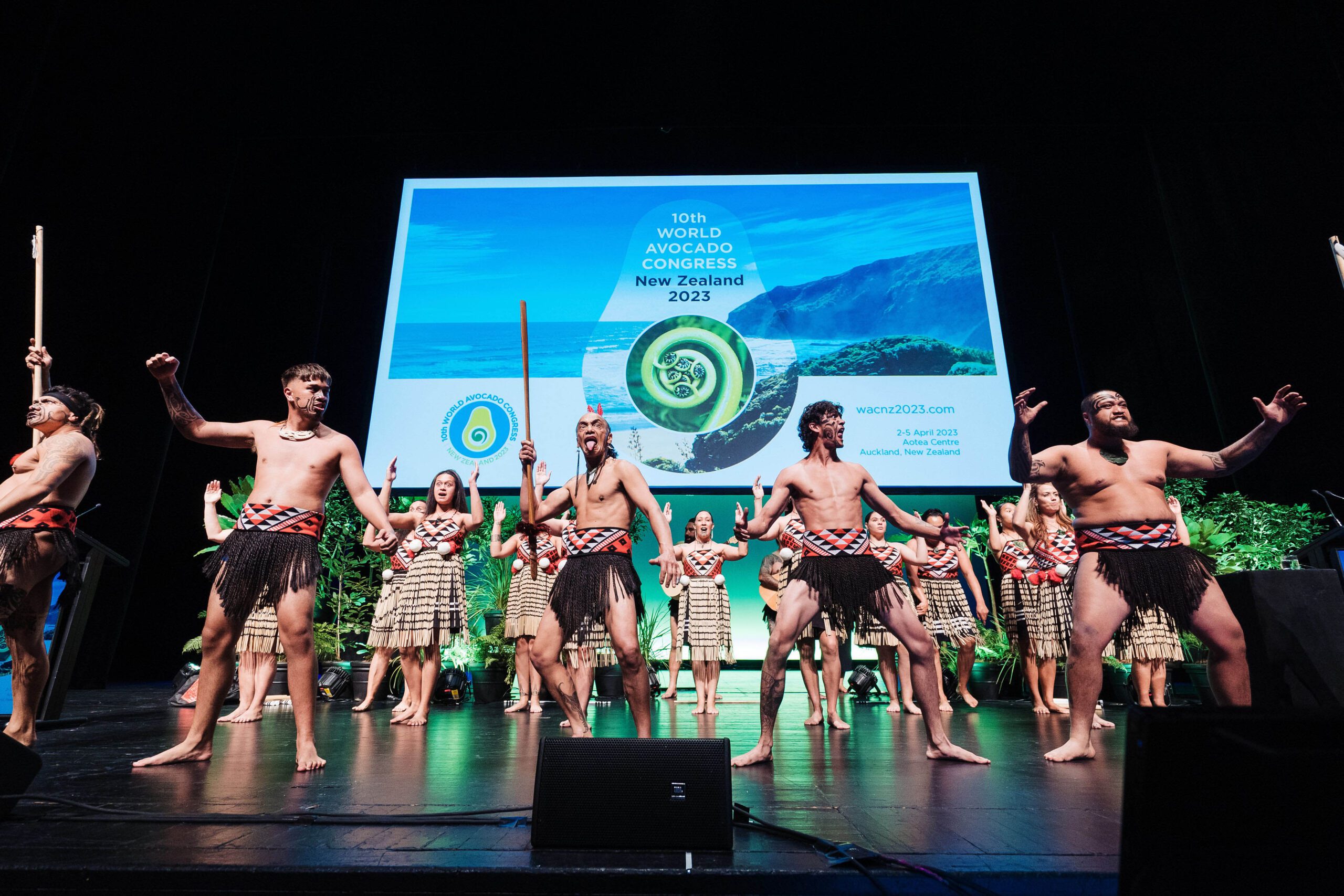 Auckland delivers global avocado congress ripe for business