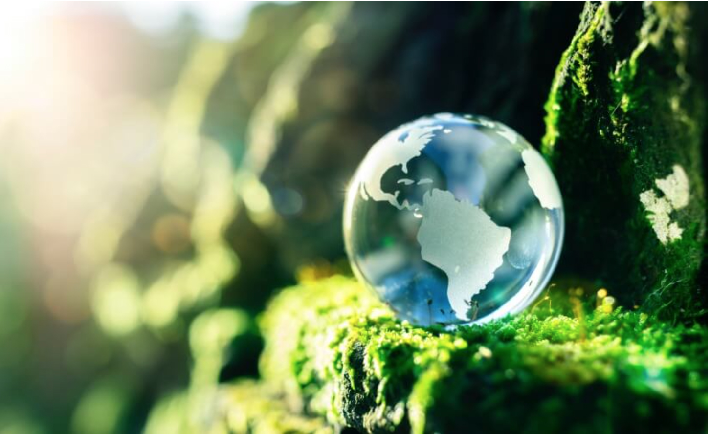 Skills, equity and sustainability becoming a greater priority for planners, says UK think tank