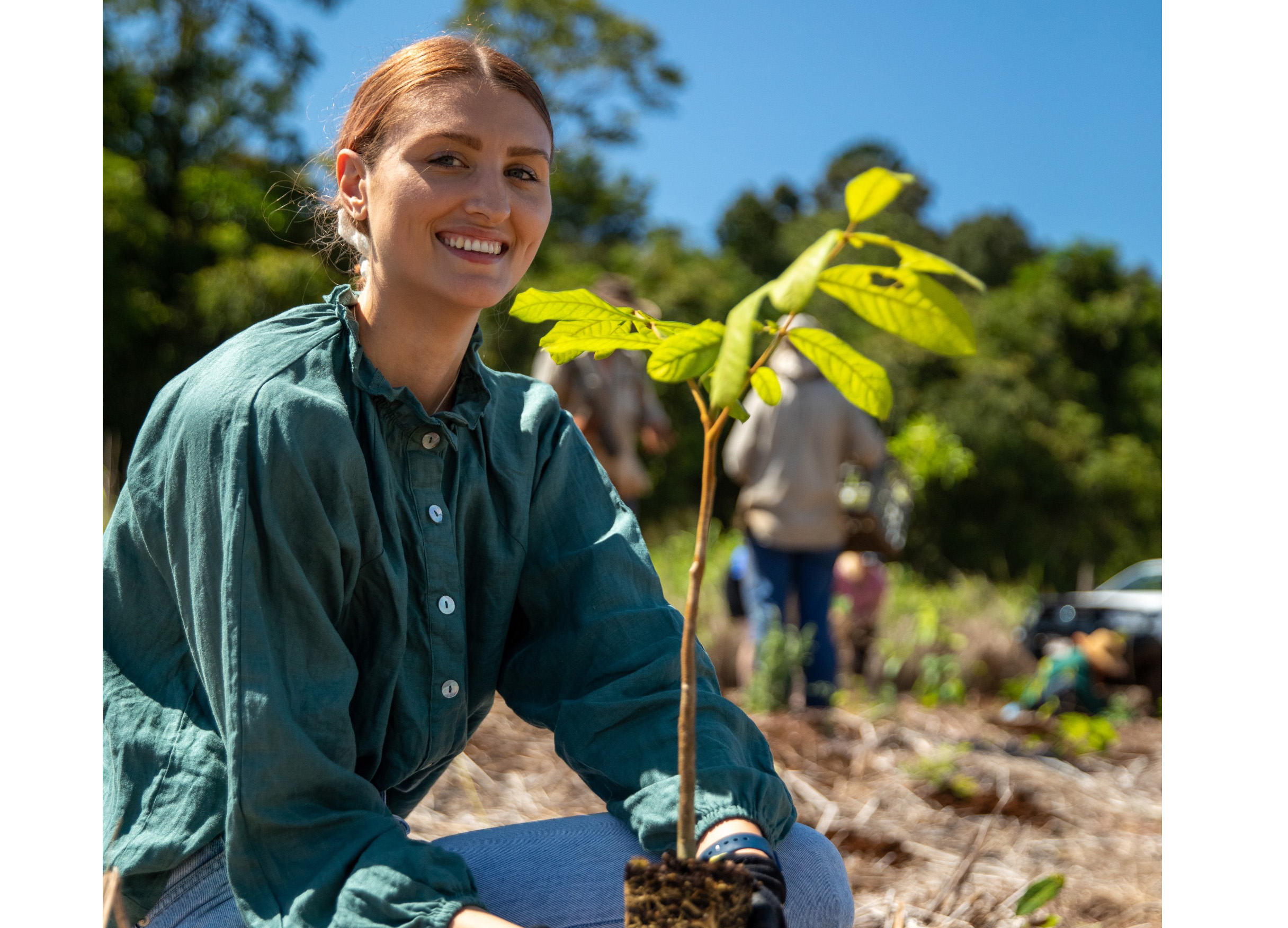 Cairns plants sustainable seeds with event planners
