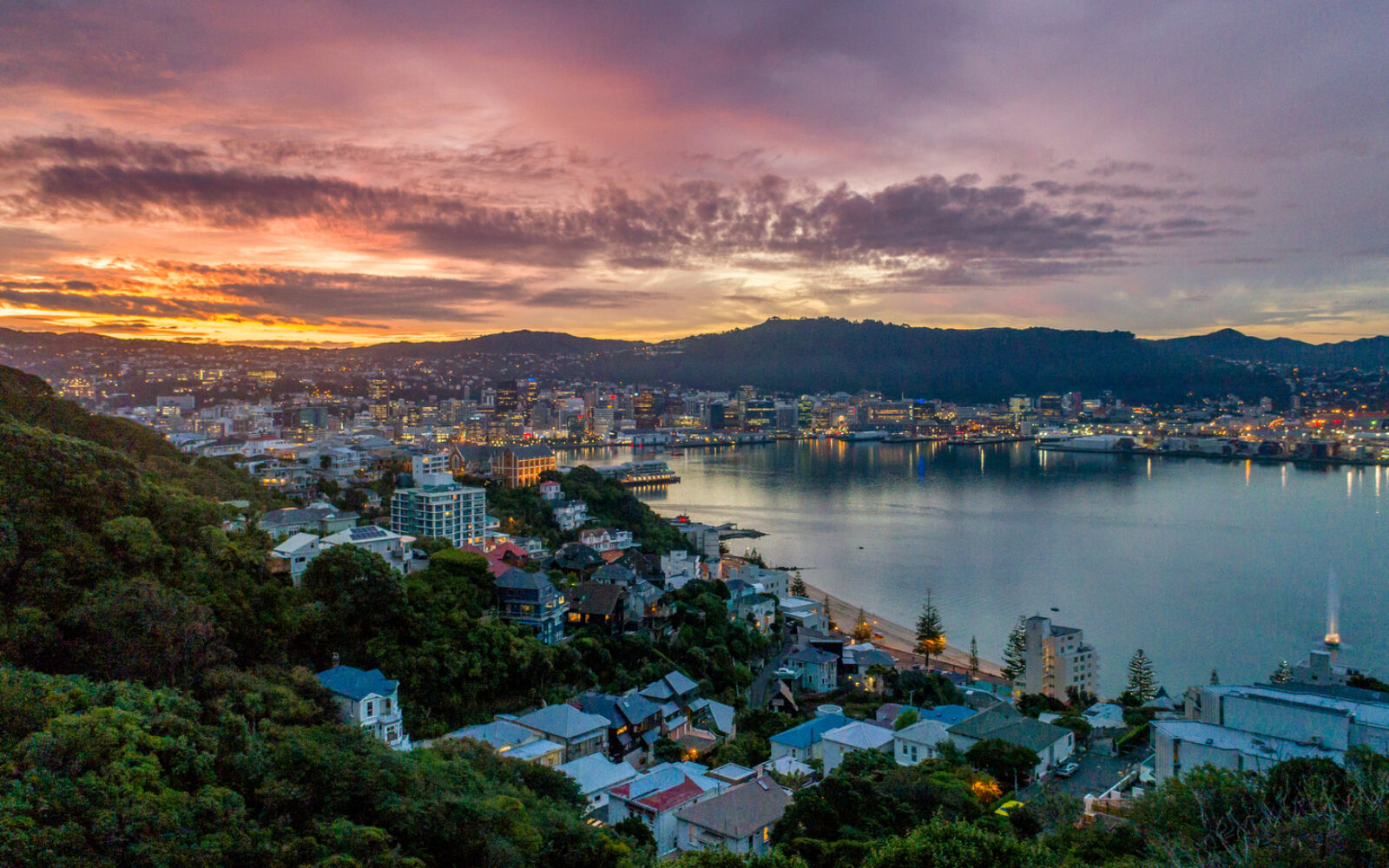 Wellington on song with international music conference win