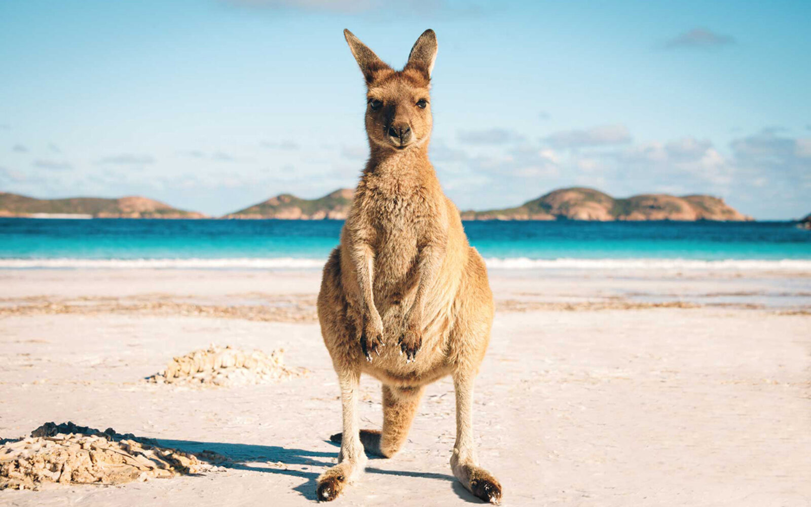 Built to last, built to lead: Australia’s business events moment