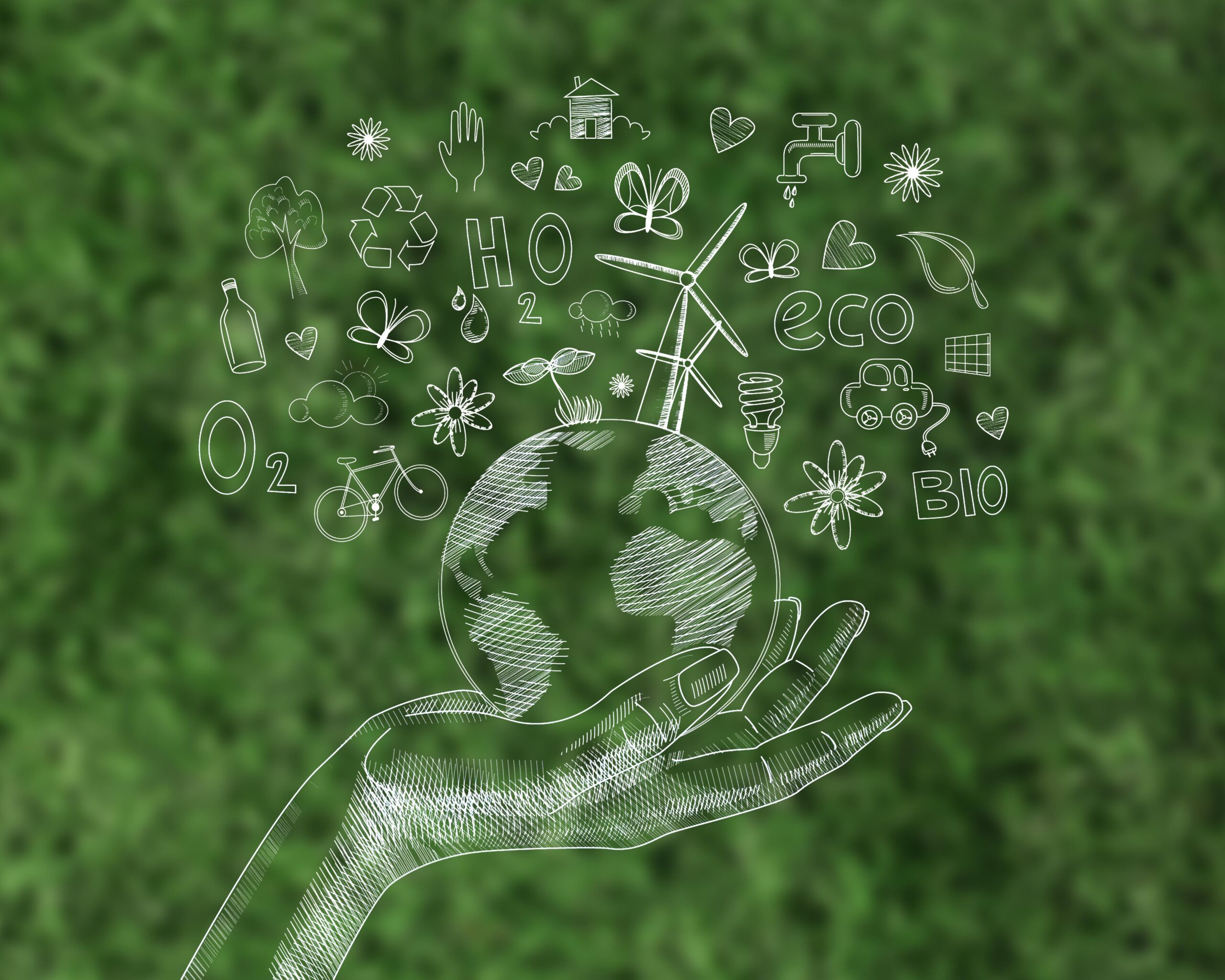 Insights on calculating the right approach to assessing the carbon footprint