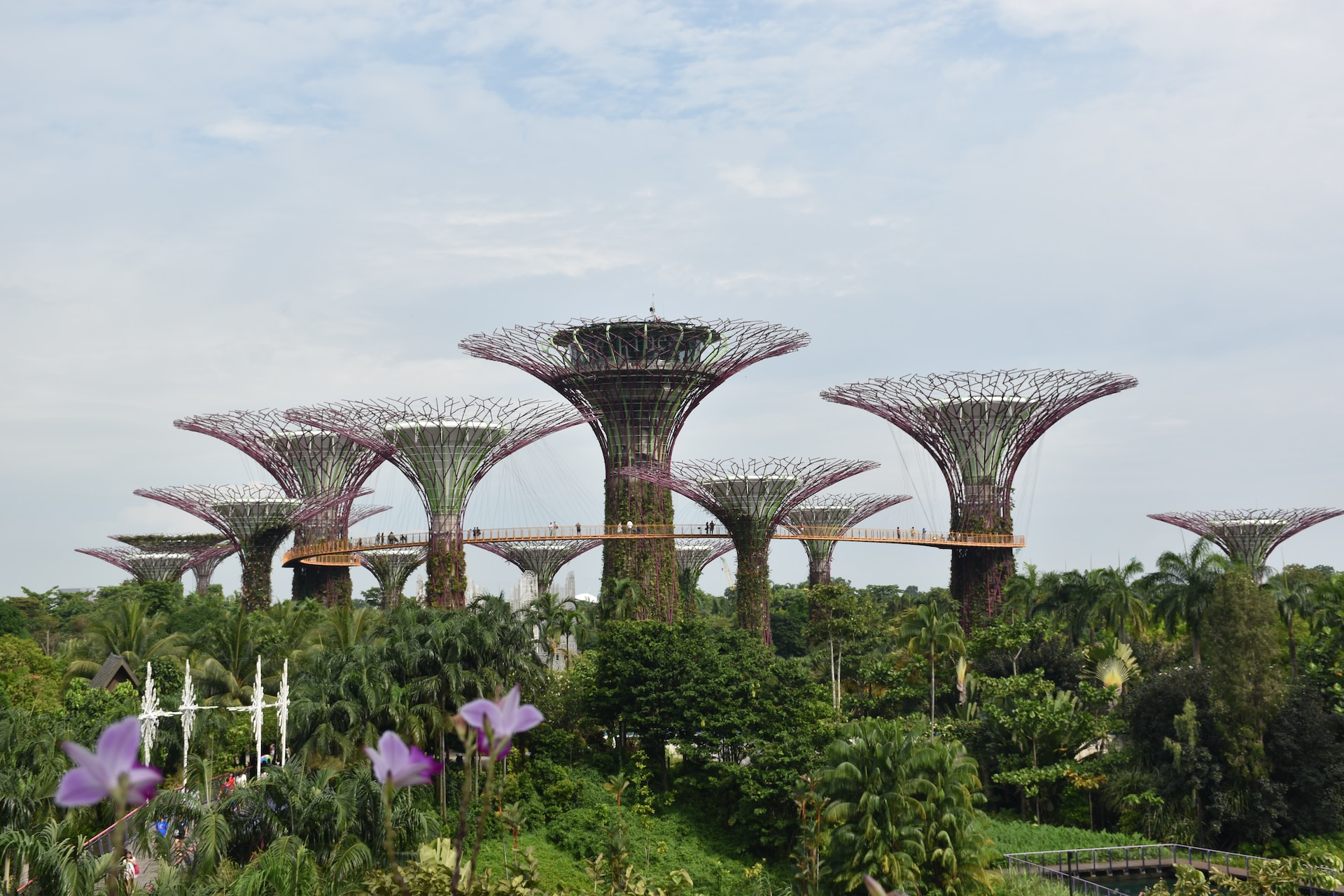 Global CEO summit cements Singapore’s reputation for business events