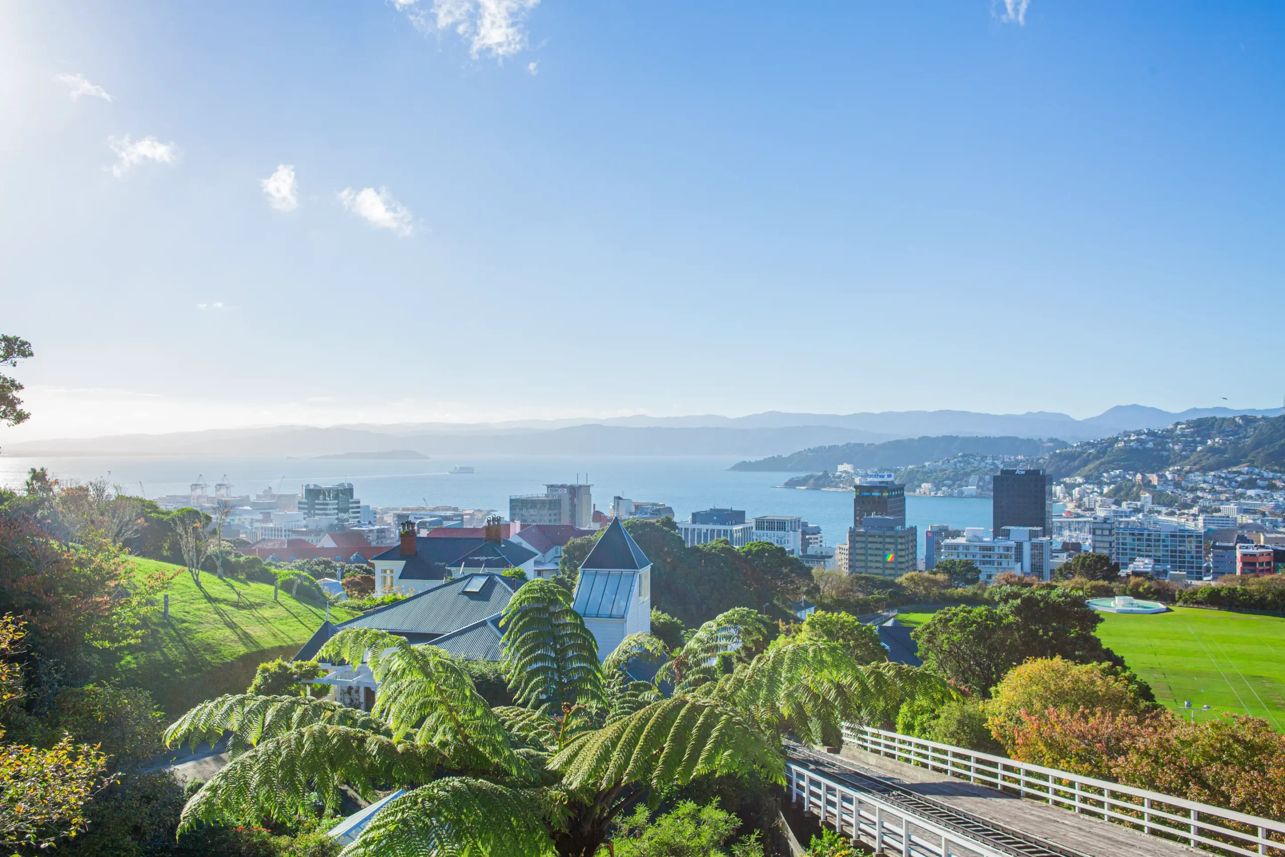 Conference win underlines Wellington’s learning opportunities