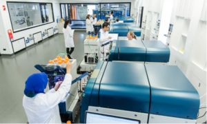 Scientists in lab coats are working in a medical laboratory