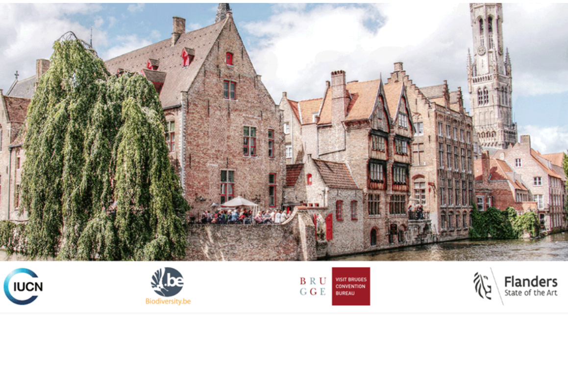 Bruges to host IUCN Regional Conservation Forum for Europe, North and Central Asia