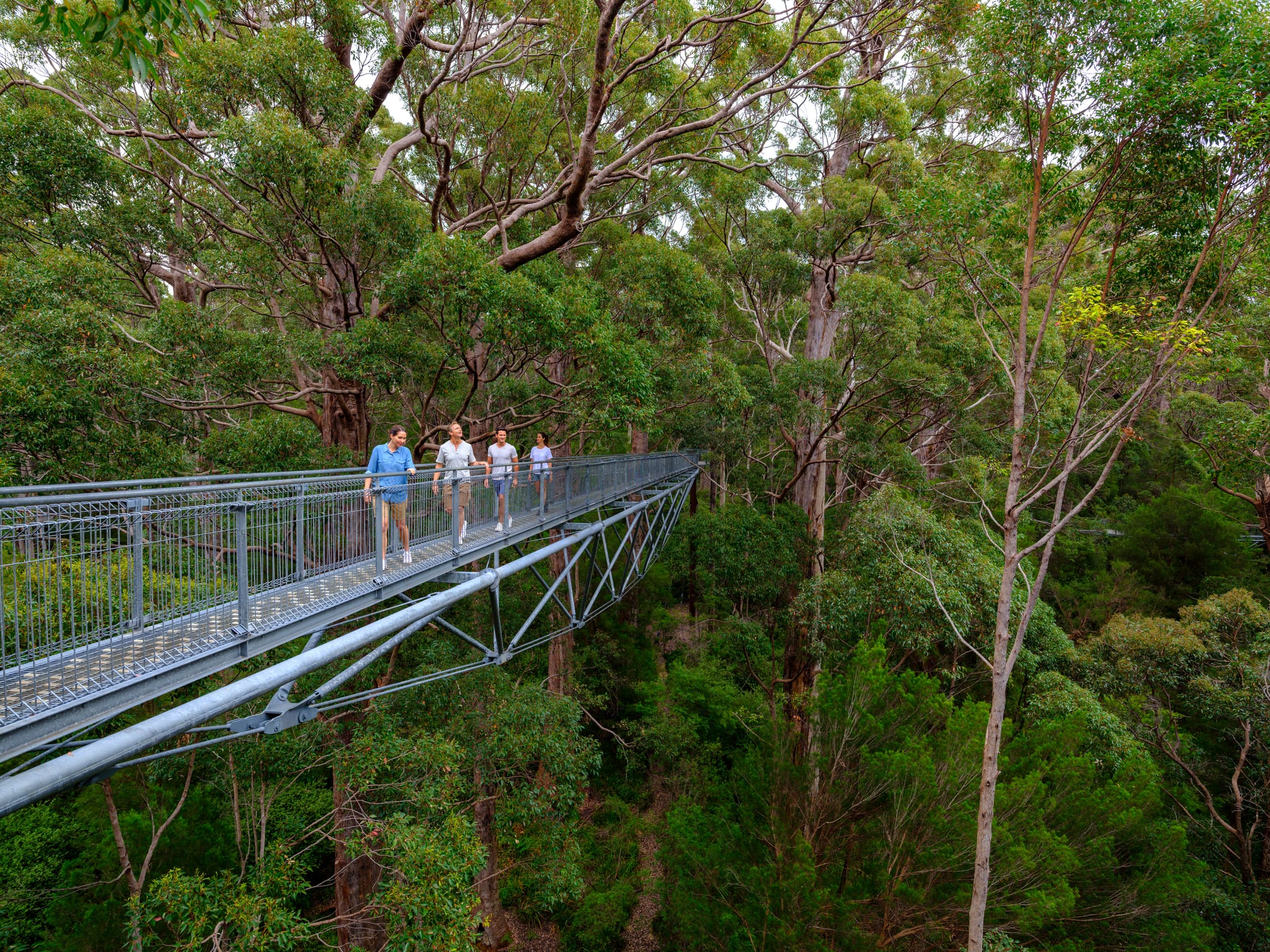 Perth to welcome the 14th World Environmental Education Congress (2026)