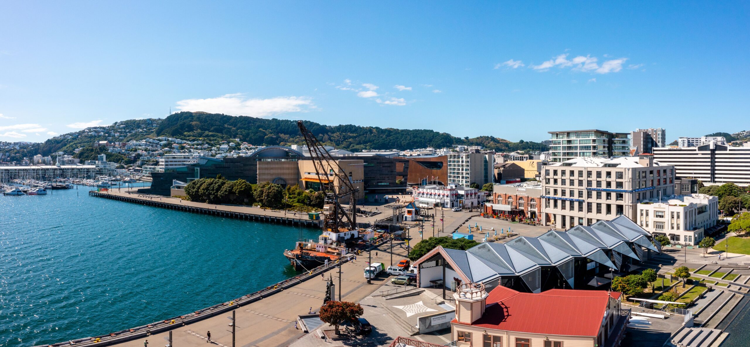 Wellington wins bid for Home Economics world congress
