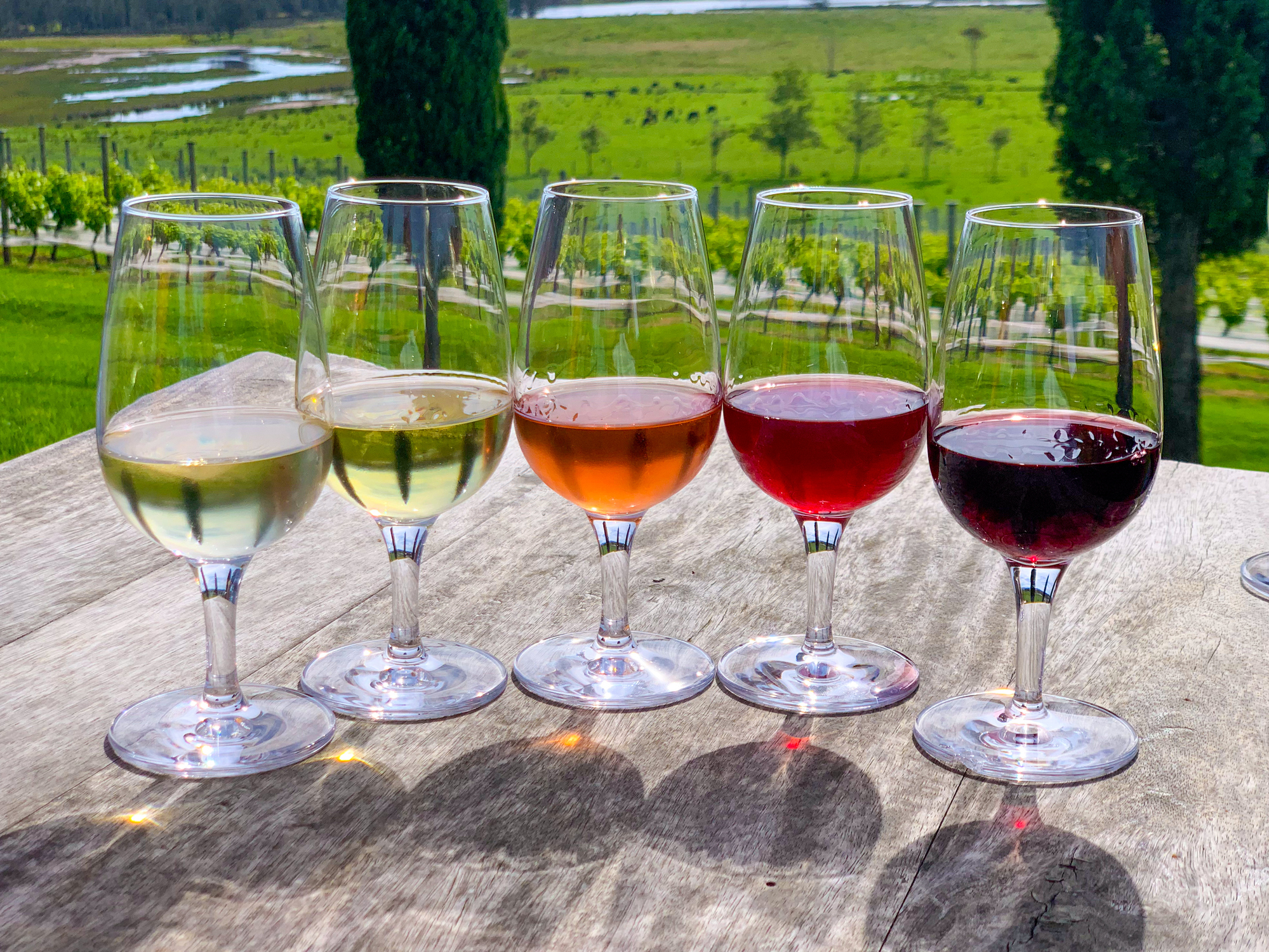 ICC Sydney boosts ties with local wine producers at New South Wales show