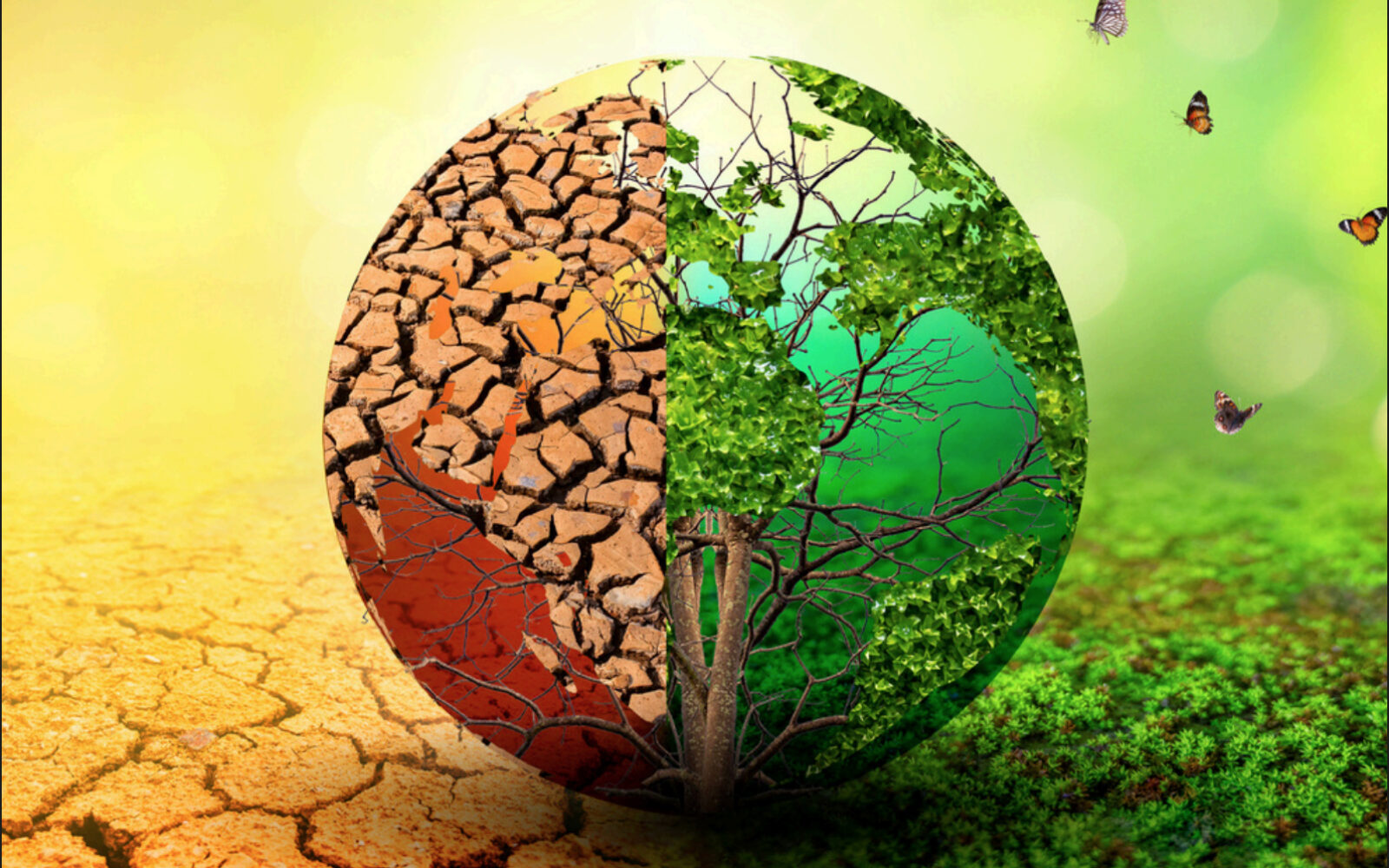 Conferli launches Subvention Guide and global comparison tool