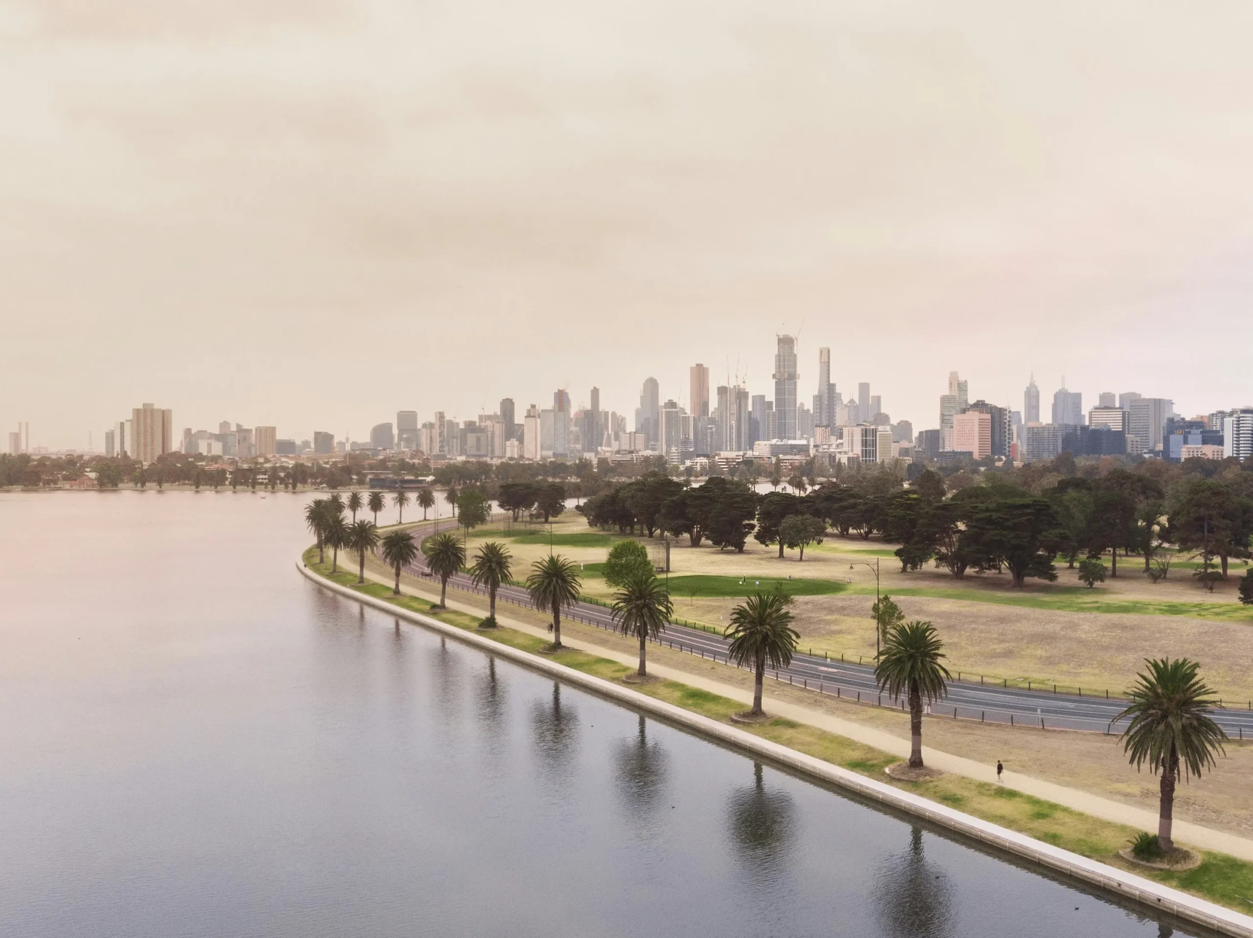 Melbourne skyline in daytime with view from river with palm trees