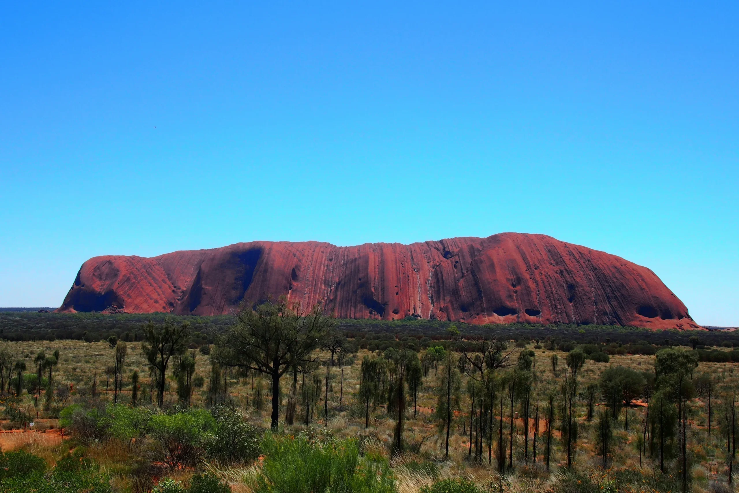 Neuroscience nurses discover innovation in Australia’s Northern Territory