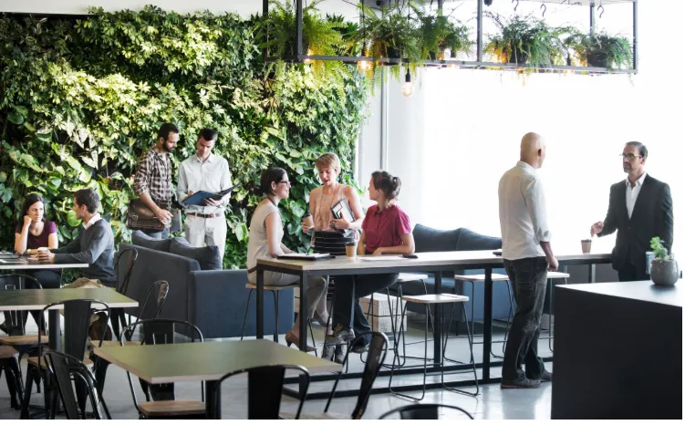 BCD launches guide to sustainable meetings and events