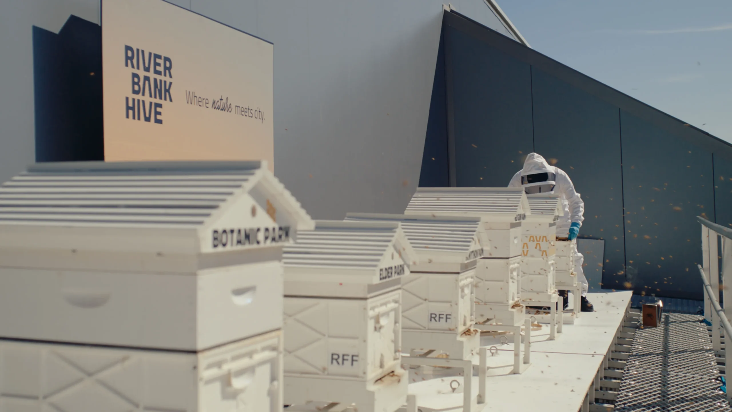 Adelaide Convention Centre is putting bee hives on the roof  