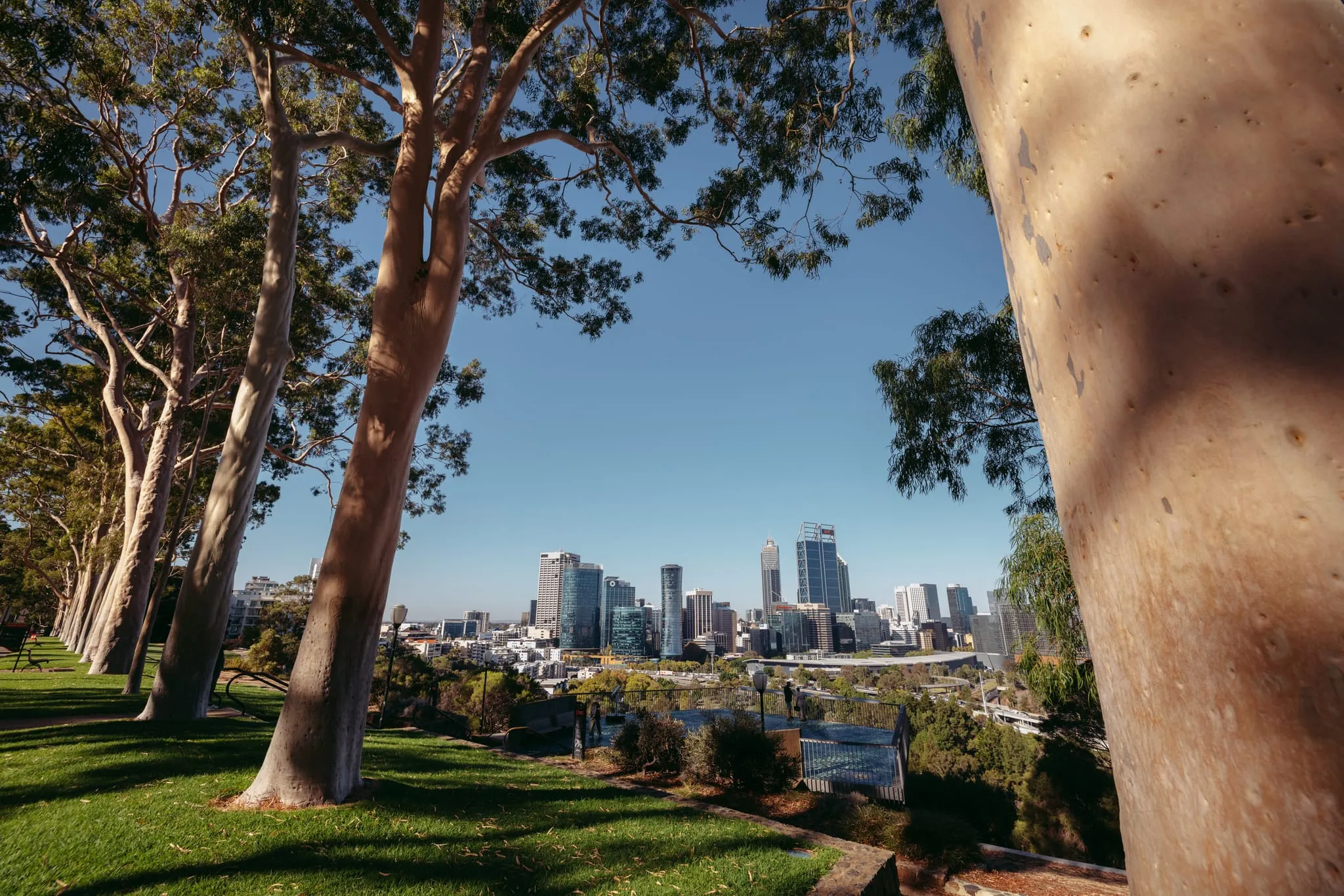 Western Australia launches five-year strategy to win high-value business events